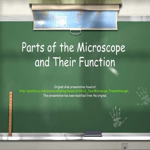 Parts of a microscope