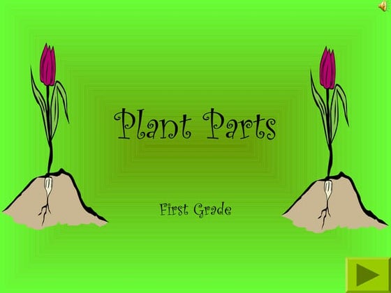 Plants 3rd grade | PPTX