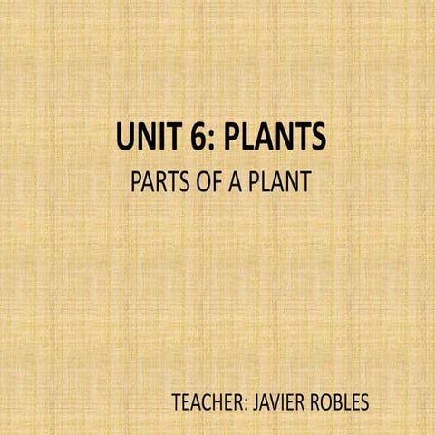 Parts of a plant
