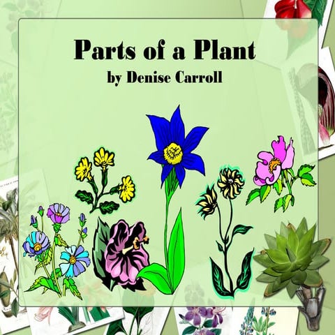 Parts of a plant   power point