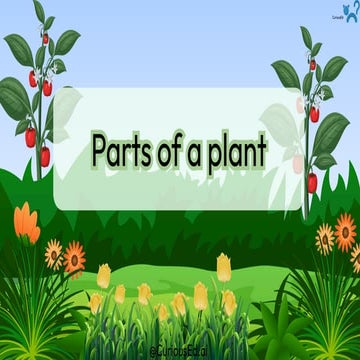 GRADE 8 SCIENCE PARTS OF THE PLANTS.pptx