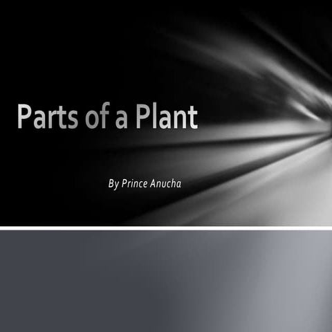 2nd grade plant ppt PrinceA