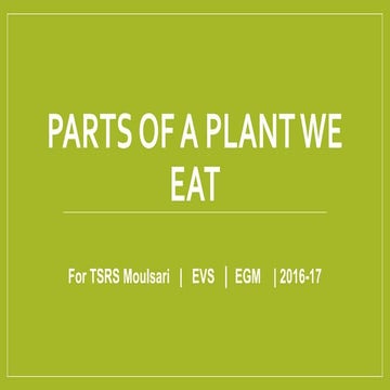 Parts of a plant we eat