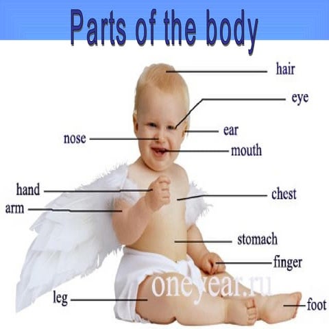 Parts of body | PPT