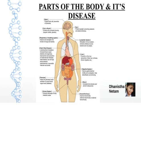 Parts of body & it's disease | PDF