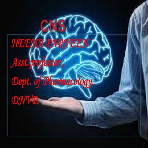 Parts of nervous system