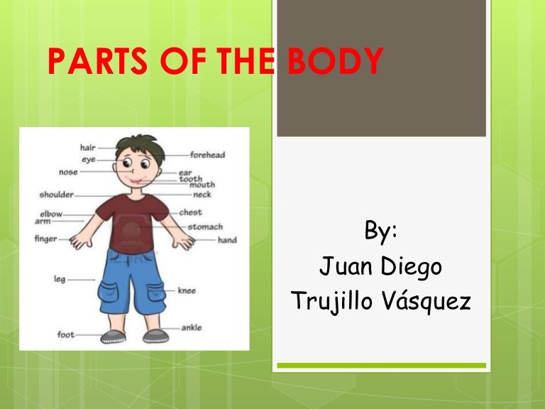 Parts of the body