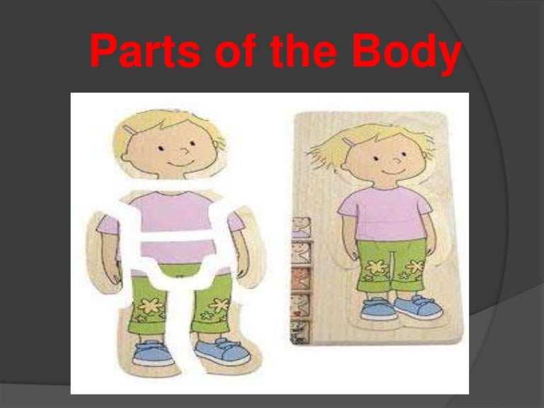 Parts of the body