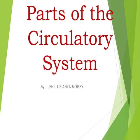 Parts of the circulatory system (day 1)