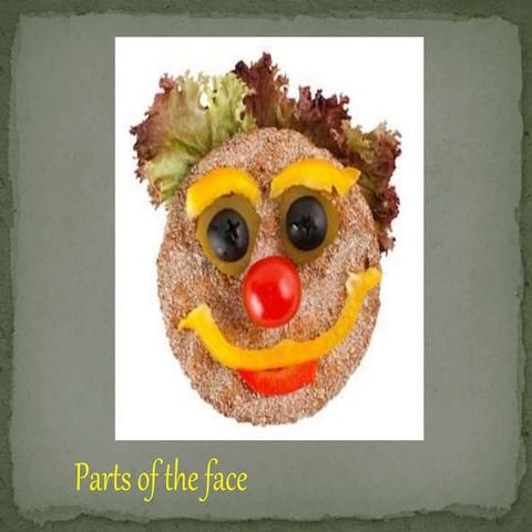 Parts of the face pp new program (1)