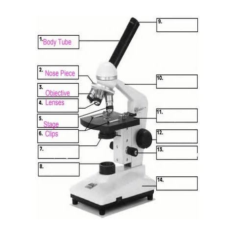 Partsofthemicroscope
