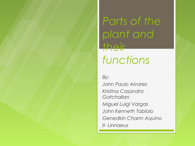 Plants and their Functions Powerpoint