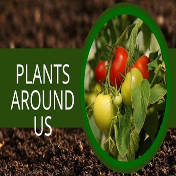 Parts of the Plant Presentation in Green Illustrative Style_20251019_192846_0...