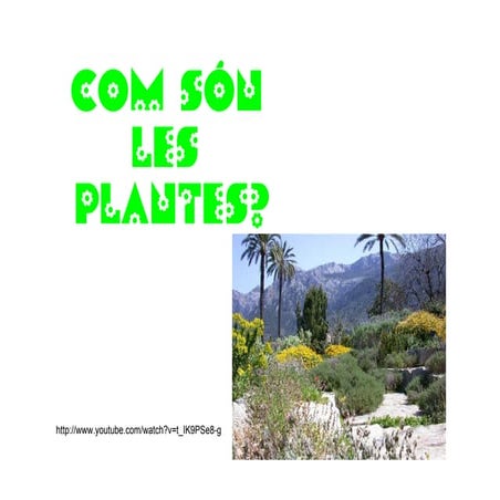 Parts planta