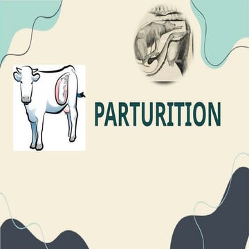 Parturition | PPTX