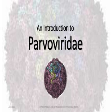 An introduction to Parvoviridae