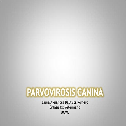 Parvovirosis canina