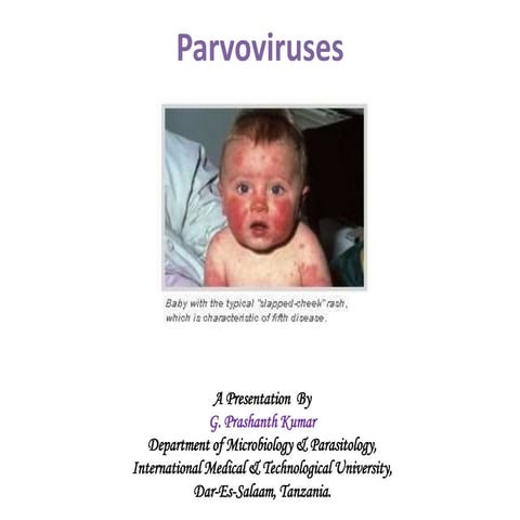 Parvo virus