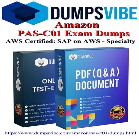 DOP-C02 Exam Guide | AWS Certified DevOps Engineer Professional | PDF