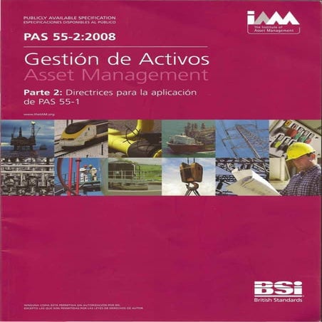 Pas 55 2 2008 español