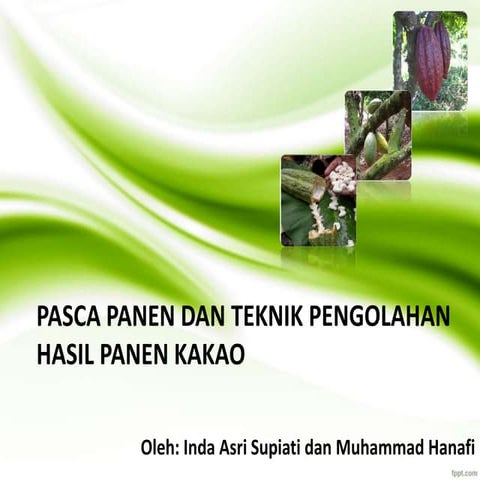 Pasca panen kakao | PPTX
