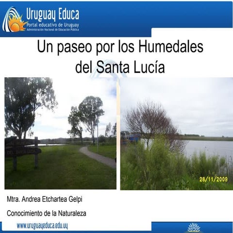 Paseo por el humedal