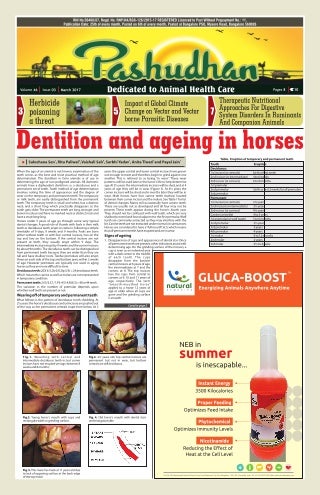 Pashudhan march 2017