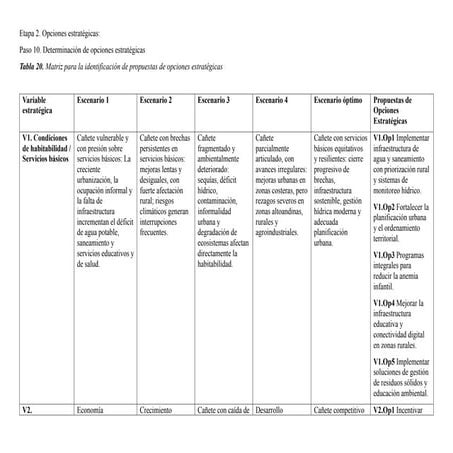 Paso 10. Determinación de opciones estratégicas.docx
