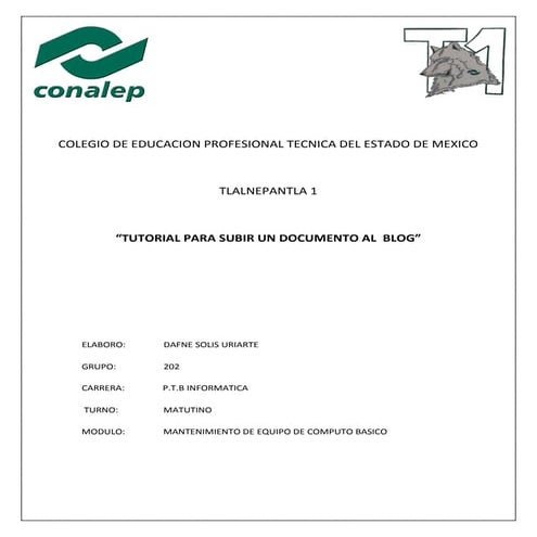 Pasos a seguir de blog