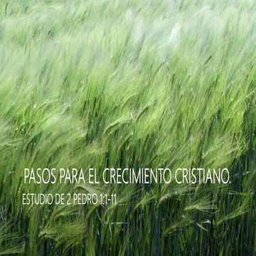 Pasos para el crecimiento cristiano i. ibe callao 02 11-2020