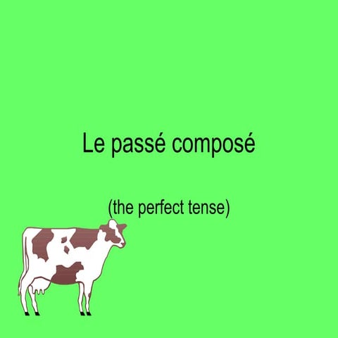 Passé composé revision