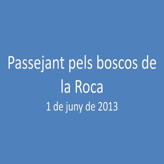 Passejant pels boscos de la Roca de...