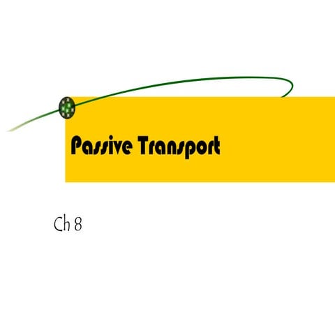 Passive  Transport