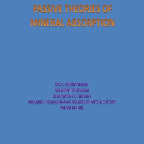 Passive theories of ion absorption