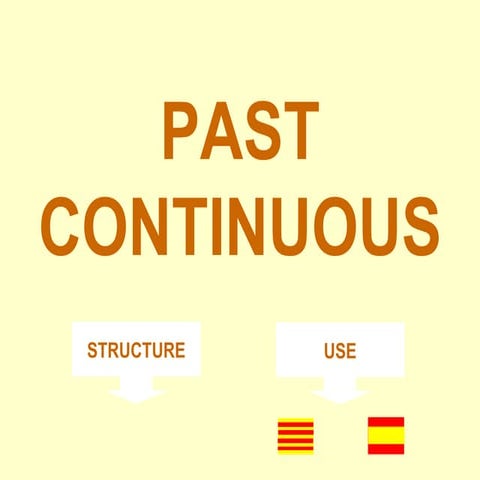 Past continuous