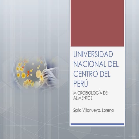 Pasteurella haemolytica