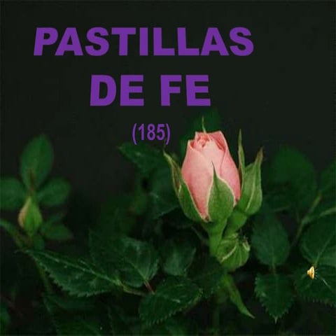Pastillas de fe 185