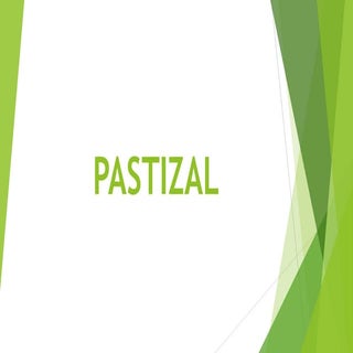 Pastizal 2