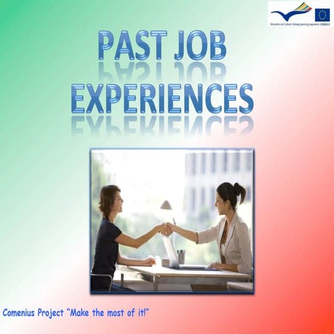 Past job experience