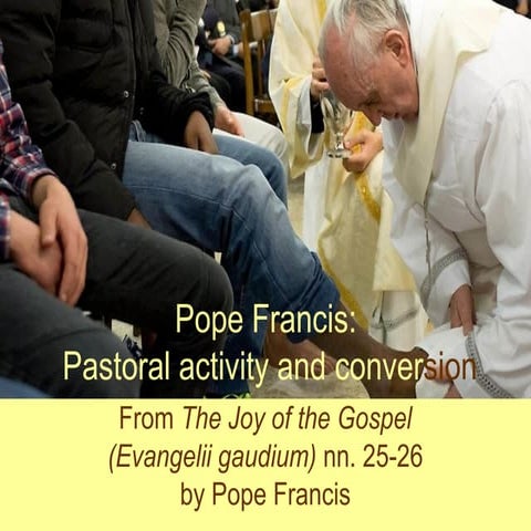 Pope Francis: Pastoral activity and conversion