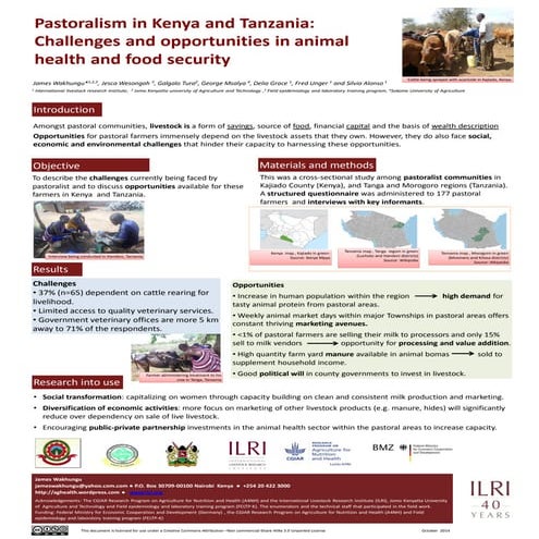 Pastoralism in Kenya and Tanzania: Challenges and opportunities in animal hea...