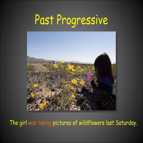 Past Progressive