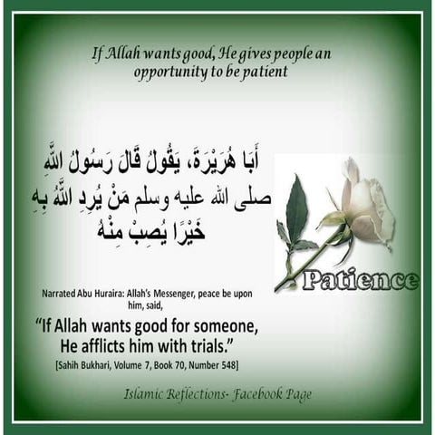 Past Tenses for Narrative