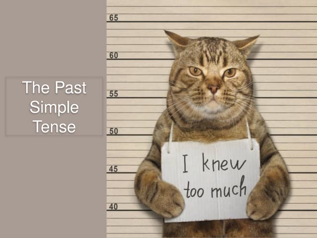 Past Simple and Continuous in French pp.pptx
