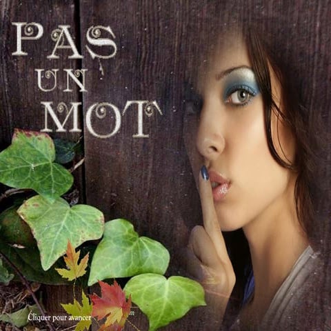 Pas un mot regarde et écoute1