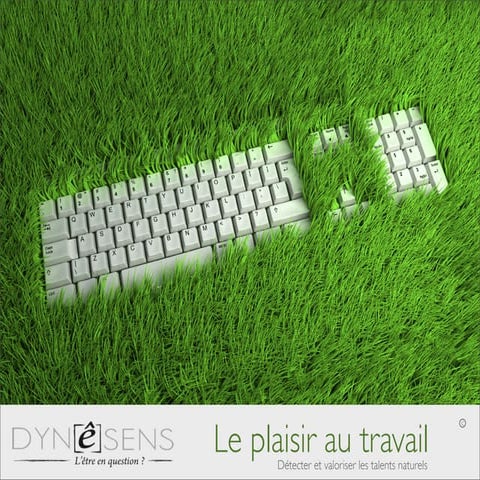 Le plaisir au travail