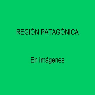 Patagónica imagenes