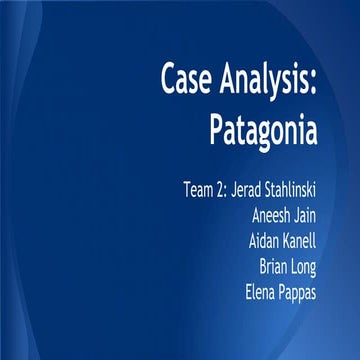 Patagonia: Case Analysis
