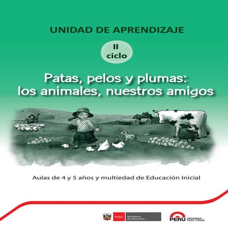 UNIDAD DE APRENDIZAJE Aula de 4-5 años de Educación Inicial -Patas pelos-plum...