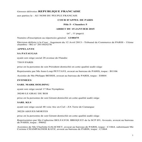 Pataugas ca paris-15_1_2015_4